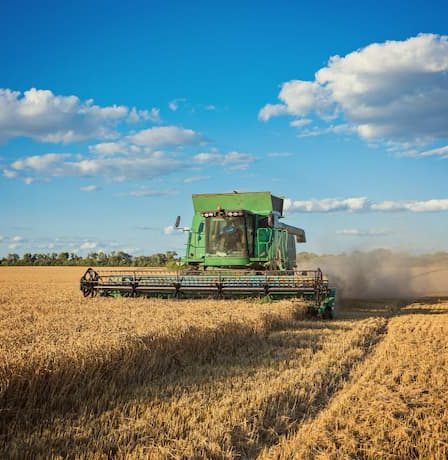 Fornecedor de sucroalcooleiro: vale pagar mais por qualidade?